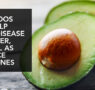 AVOCADOS CAN HELP FIGHT DISEASE & CANCER, AS WELL AS BALANCE HORMONES