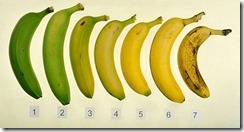 The Best Time To Eat A Banana- Is it Healthier To Eat A Banana While It’s Fresh Or When It’s Ripe?