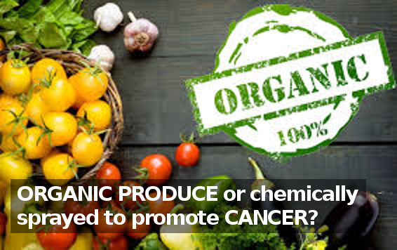 If You Think Organic food is Expensive. LOOK at the price of CANCER. 1 in 2 people will get cancer its official!