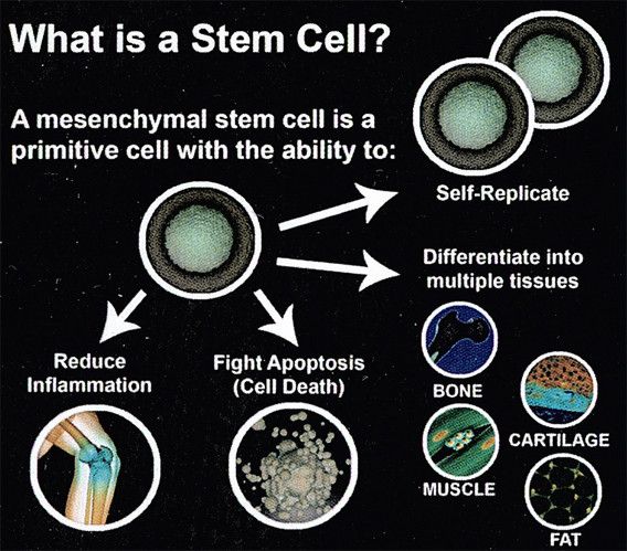 Stem cell therapy is helping hundreds of terminal diseases and conditions.