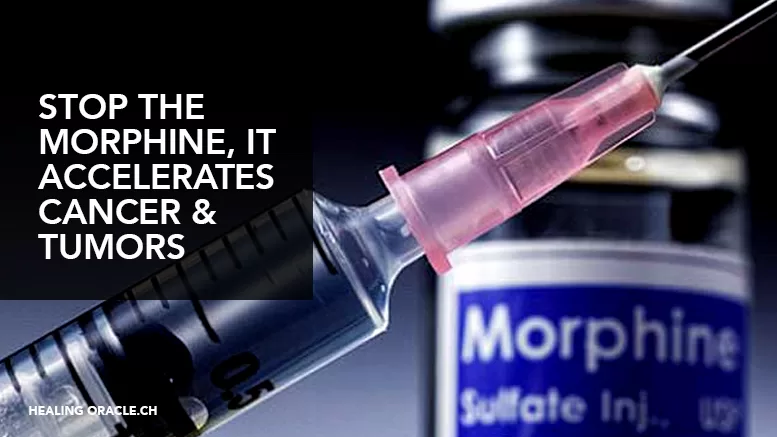 MORPHINE & ANESTHETIC MAKE CANCER GROW FASTER