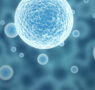Have you ever wondered about stem cell therapy and wanted to know more?