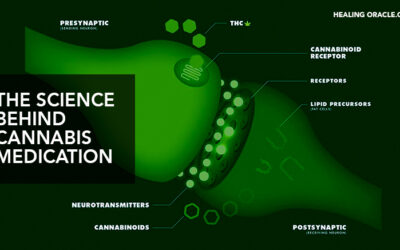 THE ENDOCANNABINOID SYSTEM & WHY WE HAVE  CANNABIS ALREADY IN OUR BODIES