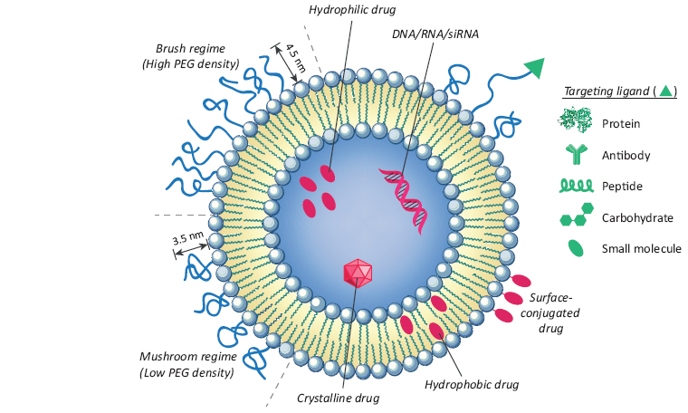 Why Liposomal Supplements Are the Next Wave of Great Nutrition: