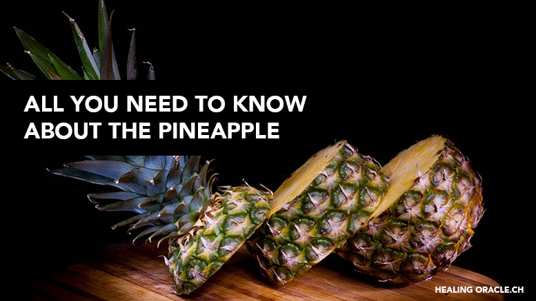  All you need to know about Pineapples and more