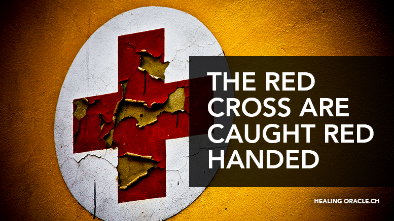 SECRET VIDEO FOOTAGE SHOW RED CROSS BOXES FULL OF CASH