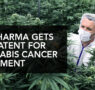 BIG PHARMA NOW HOLDS THE PATENT FOR CANNABIS CANCER TREATMENT