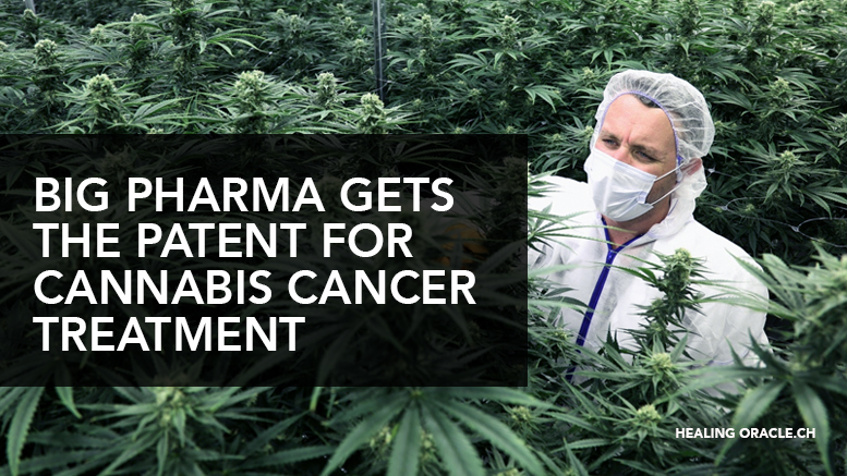 BIG PHARMA NOW HOLDS THE PATENT FOR CANNABIS CANCER TREATMENT