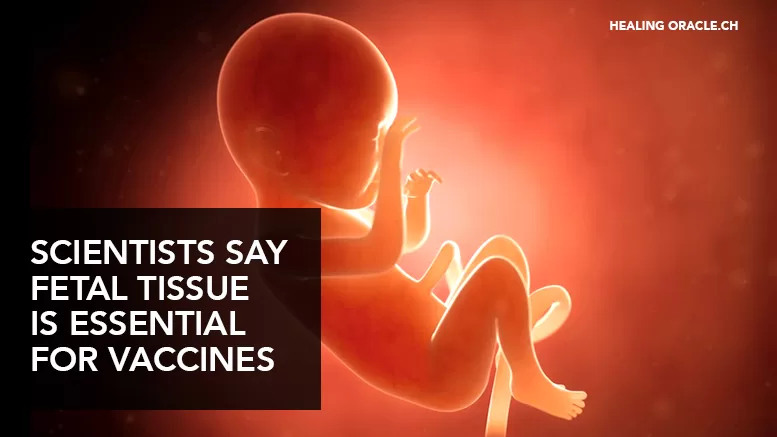 SCIENTISTS SAY FETAL TISSUE REMAINS ESSENTIAL FOR VACCINES & TREATMENTS