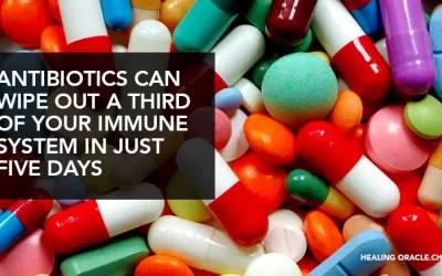 ANTIBIOTICS WIPE OUT ONE-THIRD OF YOUR IMMUNE SYSTEM IN FIVE-TO-TEN DAYS