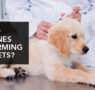 RESEARCH LINKS THE RISE OF PET CANCER AND EARLY DEATHS TO ‘OVER-VACCINATING’