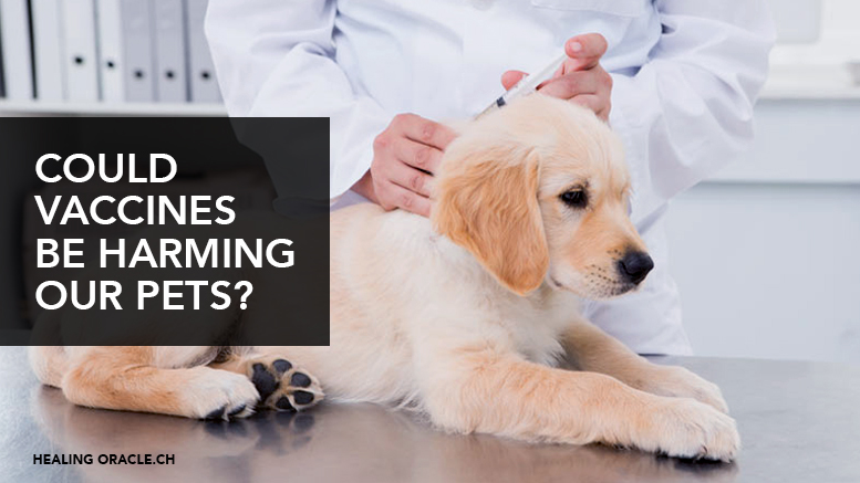 RESEARCH LINKS THE RISE OF PET CANCER AND EARLY DEATHS TO ‘OVER-VACCINATING’