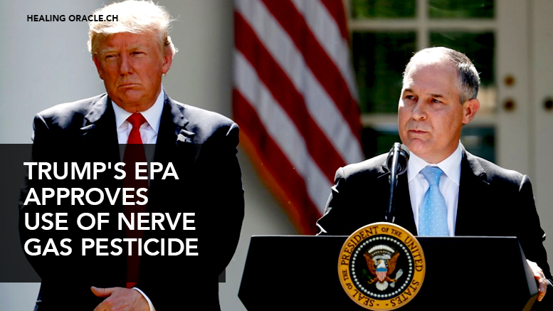 TRUMP’S EPA APPROVED THE USE OF NERVE GAS PESTICIDE