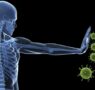 EXPERT STUDY SHOWS VACCINATIONS ACTUALLY TURN YOUR OWN BODY’S IMMUNE SYSTEM AGAINST YOU