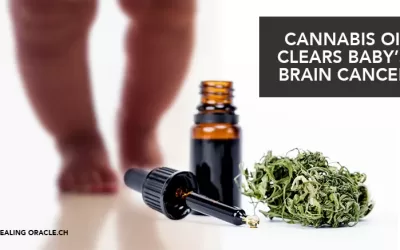 CANNABIS OIL SAVES BABY’S LIFE & ‘DISSOLVES BRAIN CANCER’ AFTER FAMILY REJECTS CHEMO