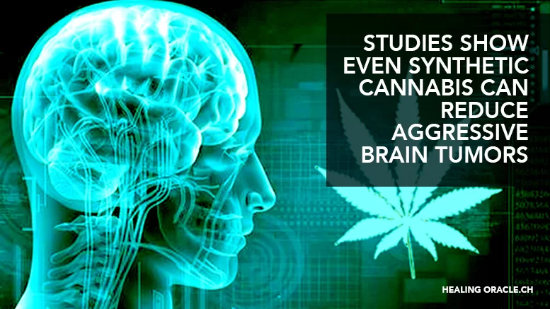 STUDIES SHOW EVEN SYNTHETIC CANNABIS CAN REDUCE AGGRESSIVE BRAIN TUMORS﻿, IMAGINE THE EFFECTS OF THE REAL THING