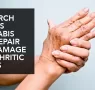 CANNABIS CAN REPAIR DAMAGE TO ARTHRITIC JOINTS