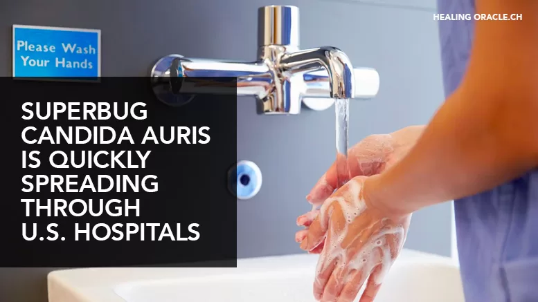CANDIDA AURIS SUPERBUG SPREADS THROUGH U.S. HOSPITALS