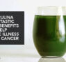 RAW LIVING SPIRULINA IS HIGH IN SO MUCH NUTRITIONAL VALUE, WE WISH WE’D FOUND THIS YEARS AGO…