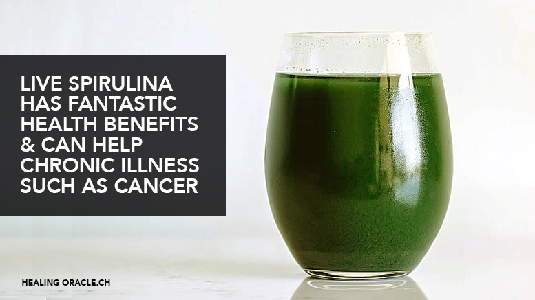 RAW LIVING SPIRULINA IS HIGH IN SO MUCH NUTRITIONAL VALUE, WE WISH WE’D FOUND THIS YEARS AGO…