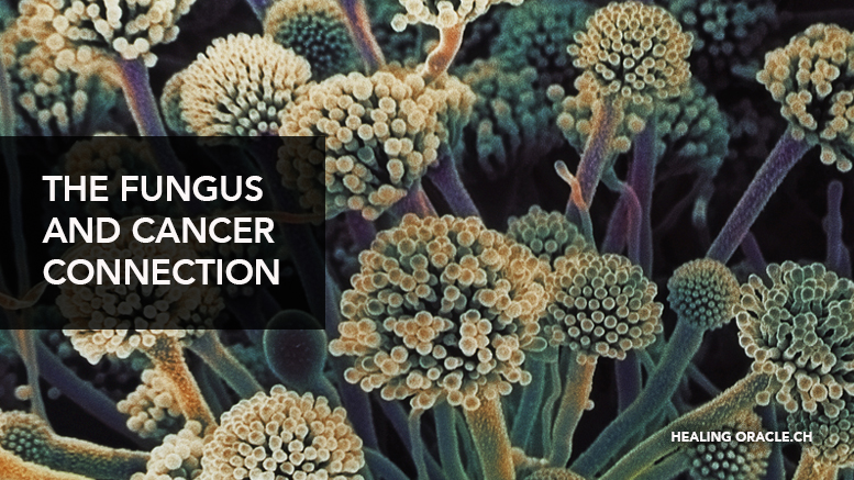 STUDIES SHOW FUNGUS ON, OR INSIDE YOUR BODY COULD NOT ONLY CAUSE CANCER, BUT ALSO FEED IT