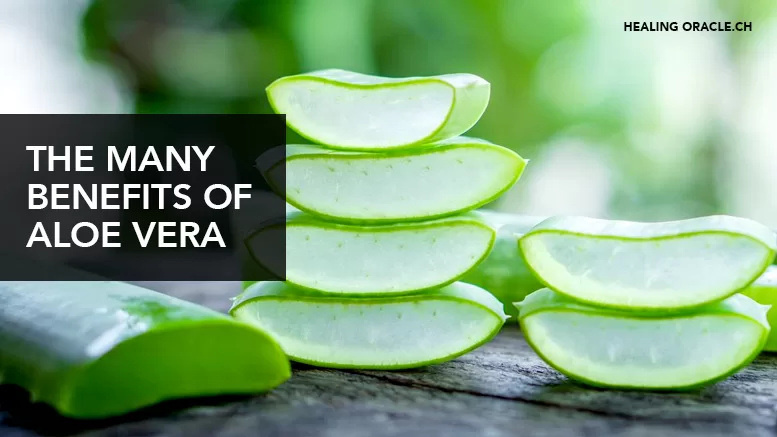 ALOE VERA HAS MANY BENEFITS AS WELL AS JUST THE SKIN