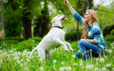 BEST PAL TALES: YOUR DOG CAN ‘SNIFF’ CANCER & OTHER DISEASES