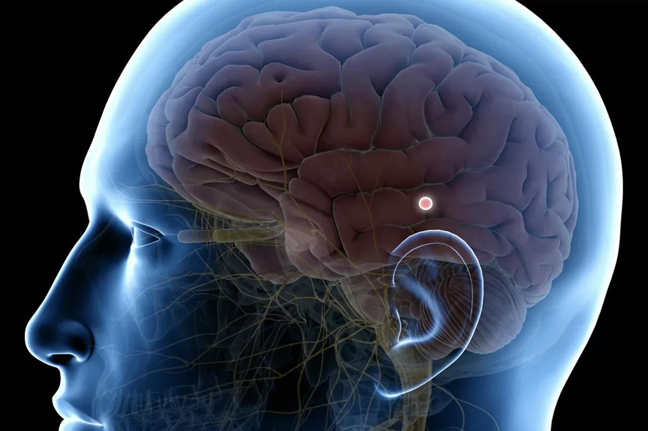 5 must know facts about pineal gland