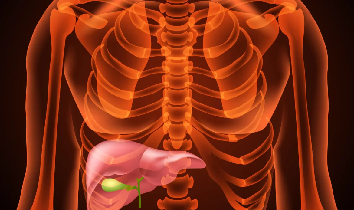 GALL BLADDER: A CURIOUS ORGAN & IT’S FUNCTIONS