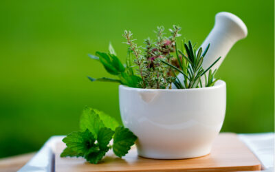 THERAPEUTIC USE OF HERBAL TREATMENT FOR CANCER!