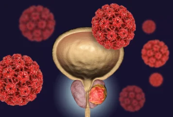 IMMUNOTHERAPY FOR PROSTATE CANCER WITH VDTP/GC-MAF