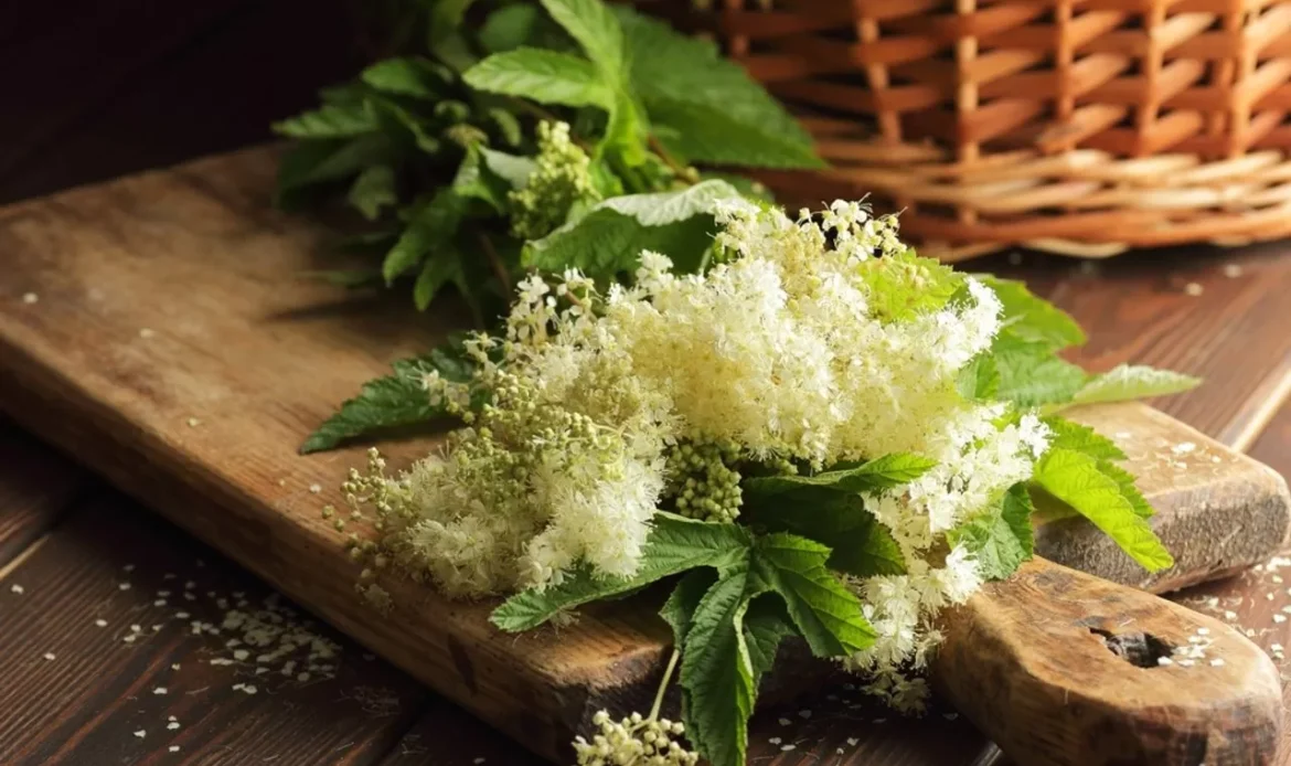MIRACLE HERBS FOR RELIEF FROM COLDS & FLU